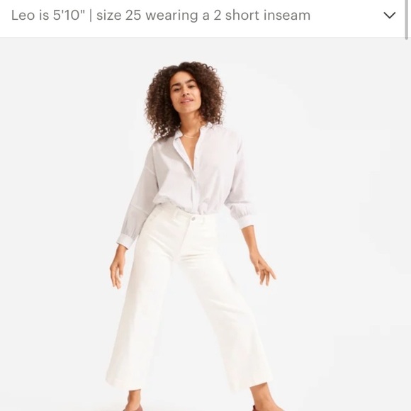 Everlane Denim - Everlane Wide-Leg Crop Pant Sz 00 Short Inseam
